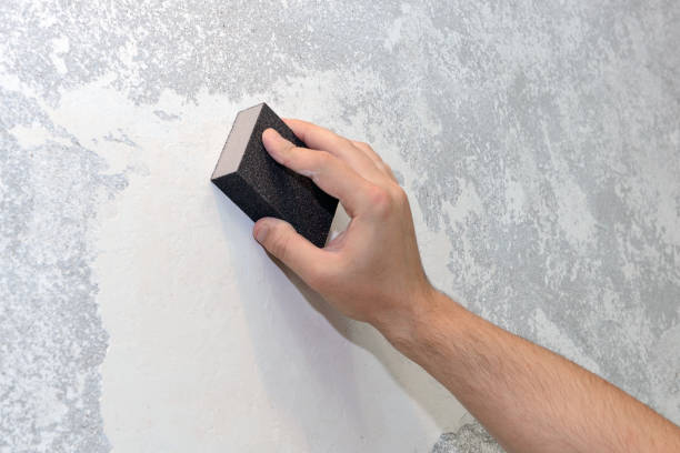 Best Attic Mold Removal  in Dillonvale, OH