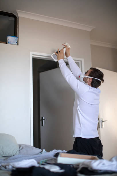 Best Mold Odor Removal Services  in Dillonvale, OH