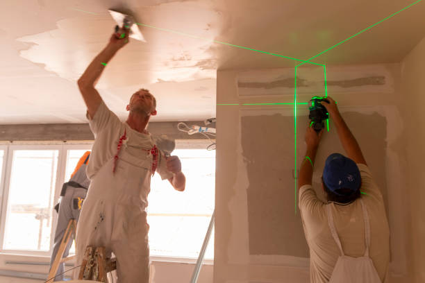 Best Post-Remediation Verification Testing  in Dillonvale, OH